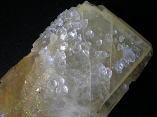 Cristales de cuarzo sobre Barita Mina Nieves Viernoles Cantabria cristal 4cm. (Autor: PabloR)