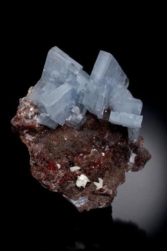 Cristales de barita azul de 5,5 cm de altura sobre una matriz de caliza silicificada roja por los óxidos de hierro con pequeños cristales de dolomita.
Foto: Jeff Scovil (Autor: JRG)