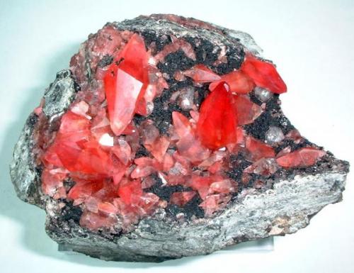 Rodocrosita, fluorita
Mina Uchucchacua, Provincia de Oyon, Departamento de Lima, Perú
84 mm x 65 mm
Longitud del cristal principal de rodocrosita: 26 mm (Autor: Carles Millan)