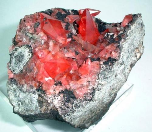Rodocrosita, fluorita
Mina Uchucchacua, Provincia de Oyon, Departamento de Lima, Perú
84 mm x 65 mm
Longitud del cristal principal de rodocrosita: 26 mm (Autor: Carles Millan)