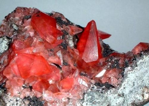 Rodocrosita, fluorita
Mina Uchucchacua, Provincia de Oyon, Departamento de Lima, Perú
84 mm x 65 mm
Longitud del cristal principal de rodocrosita: 26 mm

Detalle (Autor: Carles Millan)