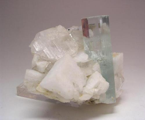 3436-Aguamarina y albita, Shigar Valley, Sakardu District, Pakistán, 6,3x5x3,7 cm. (Autor: Edelmin)