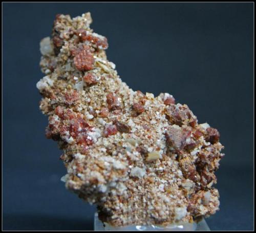 ESPINELA ROJA - Sierra de Mijas - Mijas - Málaga - 6cm x 3.5cm (Autor: Mijeño)