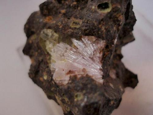 Aragonito Rosado
Can Súria, Maçanet de la Selva, Girona, Catalunya, España.
Tamaño 5 x 5 cm. Detalle. (Autor: Javier Garcia Canals)