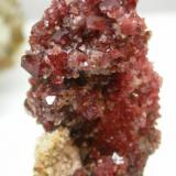 espinela roja en piña. Sierra de mijas. 6 cm x 3.5 cm (Autor: Jordi Fabre)