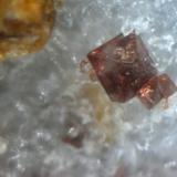 ESPINELA ROJA  GEMA Sierra de Mijas -Mijas - Malaga cristal 2mm (Autor: Mijeño)