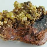 Piromorfita.
Mina de Fajano, Los Cerros, Villamayor de Calatrava, Ciudad Real, Castilla La Mancha.
Tamaño 7 x4x4 cm., con cristales hasta 9x9 mm. Col. y foto: Nacho Gaspar. (Autor: Nacho)