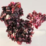 Eritrina - 
Bou Azzer - Tazenakht - Ouarzazate - Souss/Massa/Drâa - Marruecos - 
3,3 x 3,3 x 1,1 cm (Autor: Martí Rafel)