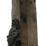 Cuarzo ahumado con Chamosita. Cantera Cillarga. Puenteareas. Pontevedra.
Tamaño 5.5x1.5 cm. (Autor: Jose Luis Otero)