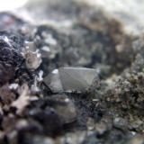 Cerusita filon del cobre Linare Jaén, cristal de 5mm.jpg (Autor: Nieves)