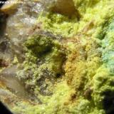 Fosfuranilita asociada a otros compuestos de uranio sobre cuarzo, Mina Cunha Baixa, Cunha Baixa, Mangualde, Viseu (Portugal) . Detalle de la pieza anterior. Encuadre 0,5 x 0,5 cm. (Autor: Frederic Varela)