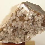 Estelerita (cristales marrons con 1cm) e calcita. Tamaño de la muestra- 13cm. Pedreira SUTEPA, Tainhas, RS-Brasil (Autor: Anisio Claudio)