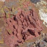 espeleotemas de hematites (1,6cm)en roca laterítica. Morro das Balas, Formiga, MG-Brasil (Autor: Anisio Claudio)