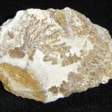 dendritos de óxidos de hierro (3,5cm) en roca laterítica. Morro das Balas, Formiga,MG-Brasil (Autor: Anisio Claudio)