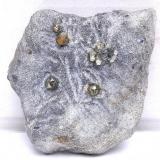Pirita y Talco - Mina Respina - Fuentes de Respina - Puebla de Lillo - León - Castilla y León - España - 10,5 x 8,0 x 3,5 (Autor: Martí Rafel)