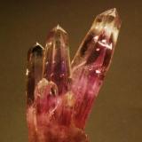 AMATISTA (Amatitlán, Distr. Guerrero, México)
Tamaño: 4&rsquo;5 x 2 cm (Autor: Marc C)