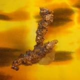 Cobre nativo, Milpillas, Sonora, México, tamaño 1.5x9 cm (Autor: javmex2)