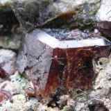 Granate sobre Escapolita v./ Marialita. Mina de Oro de Carles. Salas. Asturias.
Tamaño del cristal 9 mm. (Autor: Jose Luis Otero)
