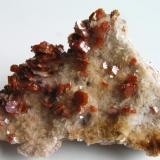 Vanadinita c/Baritina.
Midelt, Provincia de Khénifra, Región de Meknès-Tafilalet, Marruecos.
Tamaño: 8x5x3 cm., con cristales hexagonales dentados de hasta 0,9 cm. Col. y foto Nacho Gaspar. (Autor: Nacho)