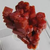 Vanadinita.
Mina Geronimo, La Paz Co., Arizona, E.E.U.U.
Tamaño: 3x2,2x1,6 cm, con cristales hasta 1,3 cm. Col. y foto Nacho Gaspar. (Autor: Nacho)