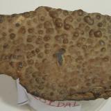 Crosta ferruginosa botrioidal (5cm). Cunhas, Formiga, Minas Gerais, Brasil. (Autor: Anisio Claudio)