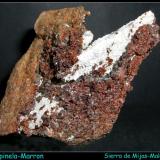 ESPINELA marrón-Sierra de Mijas-Málaga-7.5cm x 6cm (Autor: Mijeño)