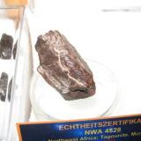 Meteorito NWA 4528 Tagounite (Marruecos) (Autor: Khalid)