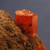 Wulfenita con Calcita.
Red Gem Pocket, Mina Red Cloud, Arizona, EE.UU.
Col. y foto Nacho Gaspar. (Autor: Nacho)