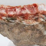Inesita - Pedrera Aymar - Gualba de Dalt - Vallès Oriental - Barcelona - Catalunya - España -
9,7 x 4,4 x 3,9 (Autor: Martí Rafel)