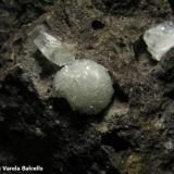 Calcita.
Pedrera Can Súria, Maçanet de la Selva, La Selva, Girona, Catalunya, España.
 Diámetro del cristal mayor 1 cm. (Autor: Frederic Varela)