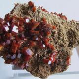 Vanadinita.
Mibladen, Midelt, Marruecos.
Tamaño de la pieza 9,5x5,5x4 cm.
Cristales hasta 1 cm. Col. y foto Nacho Gaspar. (Autor: Nacho)