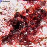 Roselita.
Aghbar, Bou Azzer, Ouarzazate Prov., Marruecos. 
Detalle de la pieza anterior. Encuadre 3 x 2,5 cm. (Autor: Frederic Varela)