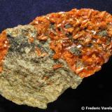 Crocoita.
Crocoite Mine, Montes Uspenskaya, Berezovsk, Urales, Rusia.
8,5 x 5 x 1,5 cm.
Cristales prismáticos de color anaranjado de  hasta 0,7 cm. de longitud.En algunas zonas se observa también vauquelinita (?) en forma de un "espray" de pequeñísmas esferas de color verde muy oscuro, casi negro. Una bonita pieza de la localidad tipo. (Autor: Frederic Varela)