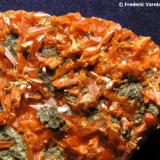 Crocoita.
Crocoite Mine, Montes Uspenskaya, Berezovsk, Urales, Rusia. 
Encuadre 4,5 x 3,5 cm.
Detalle de la pieza anterior. (Autor: Frederic Varela)