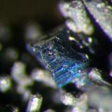 Otro detalle de cristal de Bornita, tamaño del cristal 1,5 mm. Col. y foto Nacho Gaspar. (Autor: Nacho)