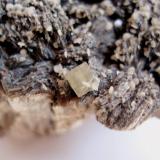 Apatito sobre Mica, Panasqueira, Castelo Branco, Portugal. Tamaño 12 x 9 cm Detalle de uno de los cristales de Apatito (Autor: Javier Garcia Canals)