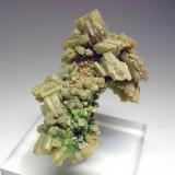Gold and Quartz
Wright Hardgrave Mine, Kirkland Lake, Ontario, Canada
4cmx3cm (Author: derrick)
