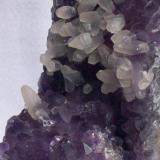 101_0414detalle.JPG (Autor: javier zayar)