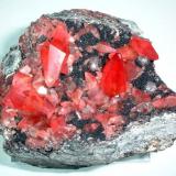 Rodocrosita, fluorita
Mina Uchucchacua, Provincia de Oyon, Departamento de Lima, Perú
84 mm x 65 mm
Longitud del cristal principal de rodocrosita: 26 mm (Autor: Carles Millan)