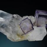 Cubos de fluorita de 1,5 cm de arista sobre cuarzo, procedentes de la mina Yaoganxiang, que quizás sea una de las minas de la R. P. China  que más ejemplares estéticos esta aportando al mundo de la mineralogía.
Fotografía: J. R. García (Autor: JRG)