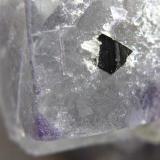 Detalle de la pieza anterior.
Cristal de Arsenopirita y dos cristales de Cuarzo en el cubo principal de Fluorita.
Tamano de la Arsenopirita 2 mm. (Autor: Jose Luis Otero)