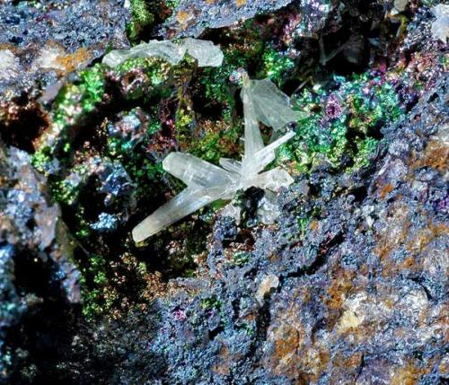 Cerusita-Goethita
Cantera San Valentín, Cartagena, Murcia, Región de Murcia, España.
Encuadre 2 cm
2002 (Autor: Carlos Pareja)