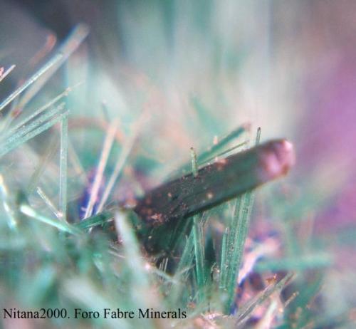 Fluorite and Galena.
Hilton mine, Scordale, Cumbria, England, UK.
Fluorite to 6 mm (Author: nurbo)