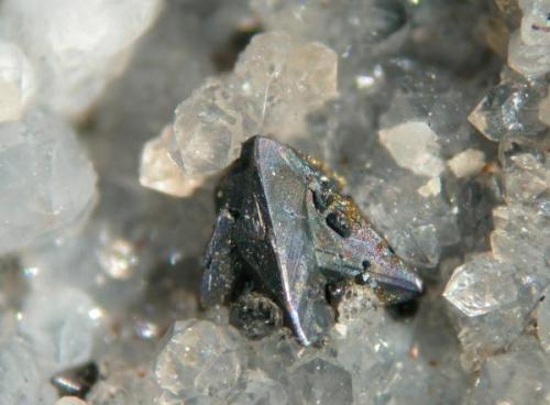 Freibergita con pequeños cristales de pirargirita. Entorno de Santa Cecilia, Hiendelaencina. 50x. (Autor: Cesar M. Salvan)