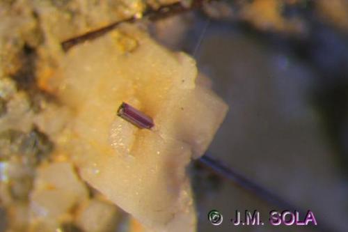 detalle, extremo de 0,6mm, atravesando un cristal de albita (Autor: Jose Miguel Sola)