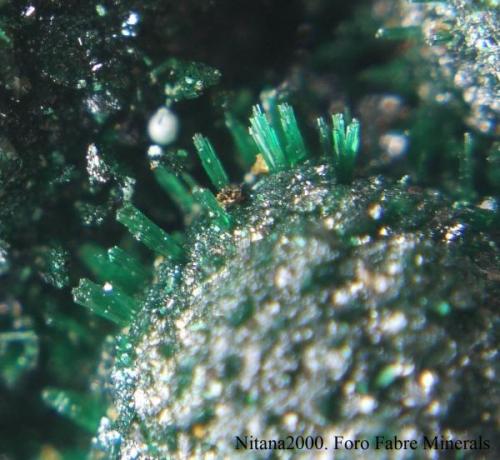 Cristales de malaquita sobre matriz de malaquita. Tamaño de los cristales inferior al mm. Luishia. R. D. C. (Autor: Juan de Laureano)