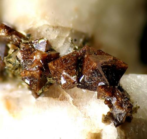 Pyrochloro de Mont Malosa, Malawi.
Tamaño de imagen: 0.5 mm (Autor: Rewitzer Christian)