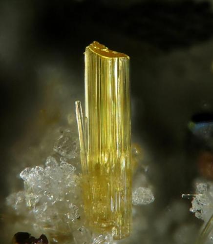 Fluoro-edenita del Monte Calvario, Biancavilla, volcán Etna, Catania, Sicilia, Italia.
Tamaño de imagen: 1.2 mm (Autor: Rewitzer Christian)