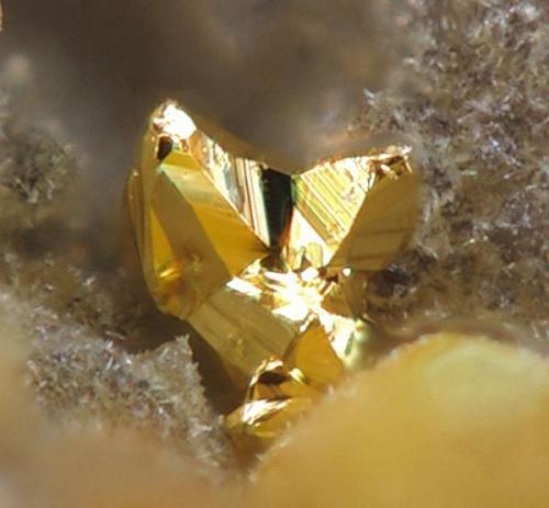 Oro xl (!) Mina María Josefa, Rodalquilar, Almería  0,2 mm (Autor: Rewitzer Christian)