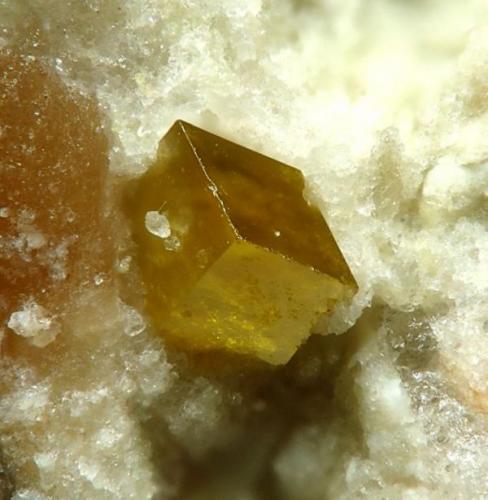 Pucherita, Pozo Pucher, Alemania  0.5 mm (Autor: Rewitzer Christian)